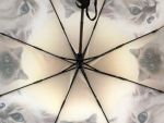 Зонт  женский Baolizi , арт.3024В-2_product